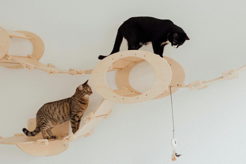 engaging cat toys recommended